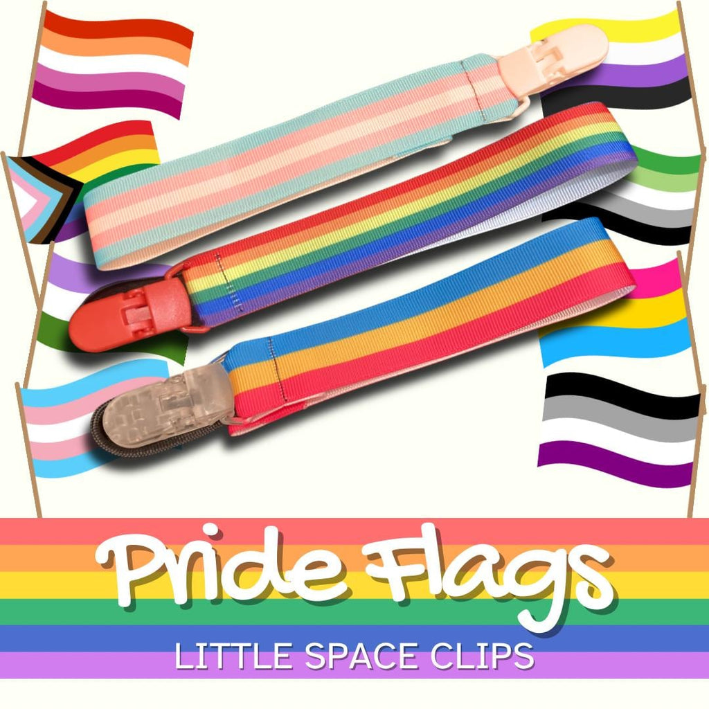 Pride Flags Little Space Clip, LGBT+ Pacifier Clip, Trans, Non-binary, Asexual, Bi, Pan, Little Space Gear